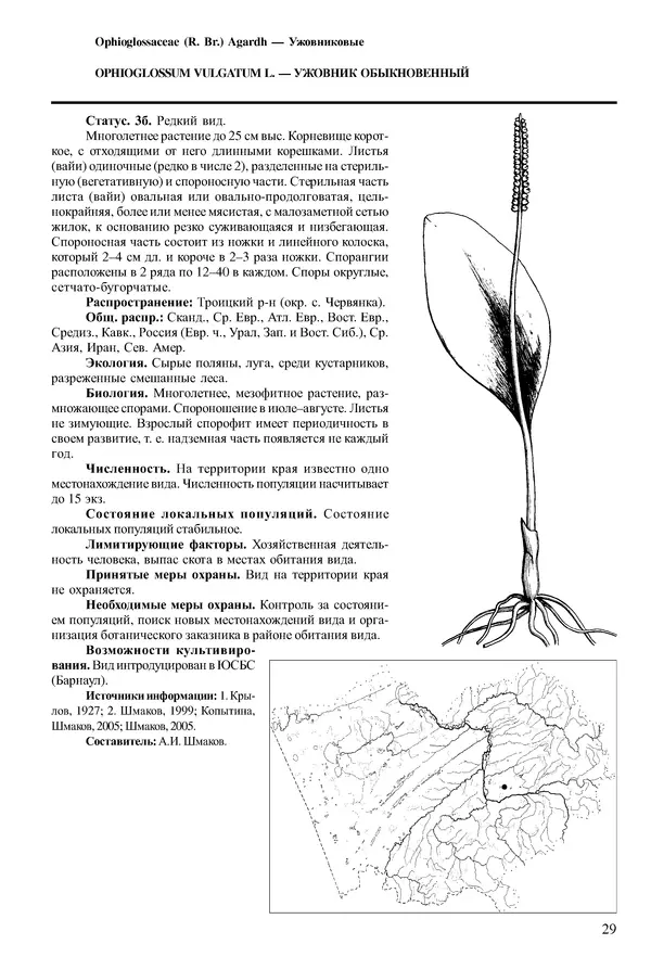  Коллектив авторов - Красная книга Алтайского края. Редкие и находящиеся под угрозой исчезновения виды растений. Том 1 - Страница № 29