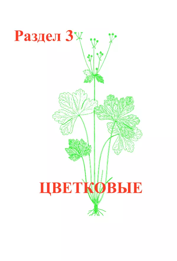  Коллектив авторов - Красная книга Алтайского края. Редкие и находящиеся под угрозой исчезновения виды растений. Том 1 - Страница № 33