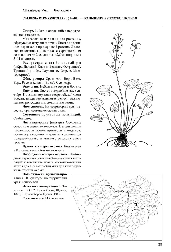  Коллектив авторов - Красная книга Алтайского края. Редкие и находящиеся под угрозой исчезновения виды растений. Том 1 - Страница № 35