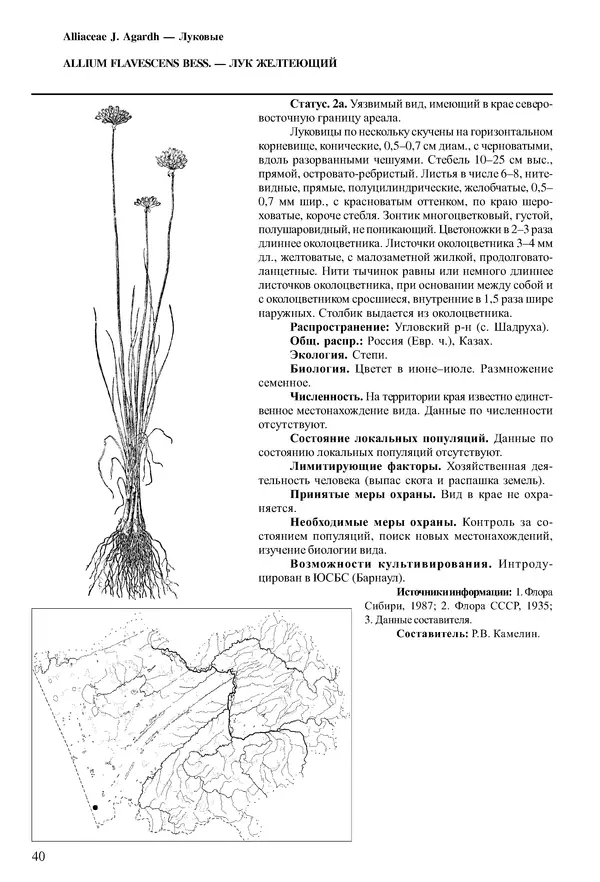  Коллектив авторов - Красная книга Алтайского края. Редкие и находящиеся под угрозой исчезновения виды растений. Том 1 - Страница № 40