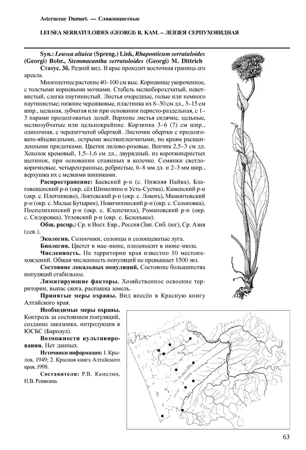  Коллектив авторов - Красная книга Алтайского края. Редкие и находящиеся под угрозой исчезновения виды растений. Том 1 - Страница № 63