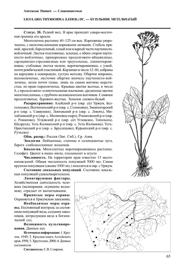 Коллектив авторов - Красная книга Алтайского края. Редкие и находящиеся под угрозой исчезновения виды растений. Том 1 - Страница № 65
