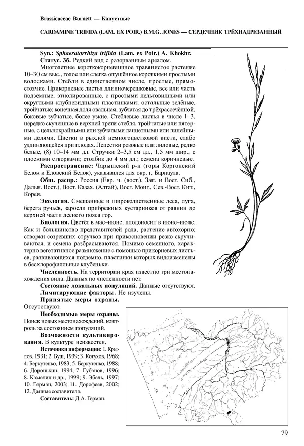  Коллектив авторов - Красная книга Алтайского края. Редкие и находящиеся под угрозой исчезновения виды растений. Том 1 - Страница № 79
