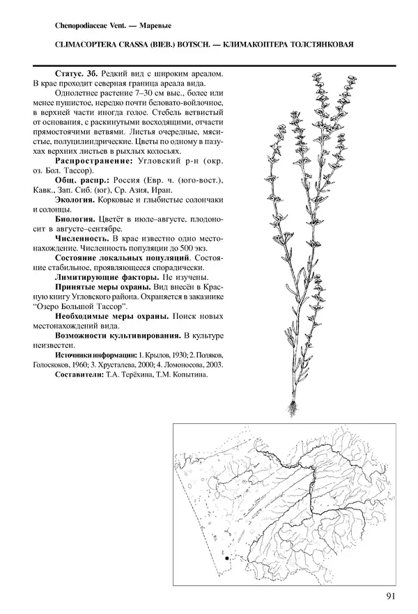  Коллектив авторов - Красная книга Алтайского края. Редкие и находящиеся под угрозой исчезновения виды растений. Том 1 - Страница № 91