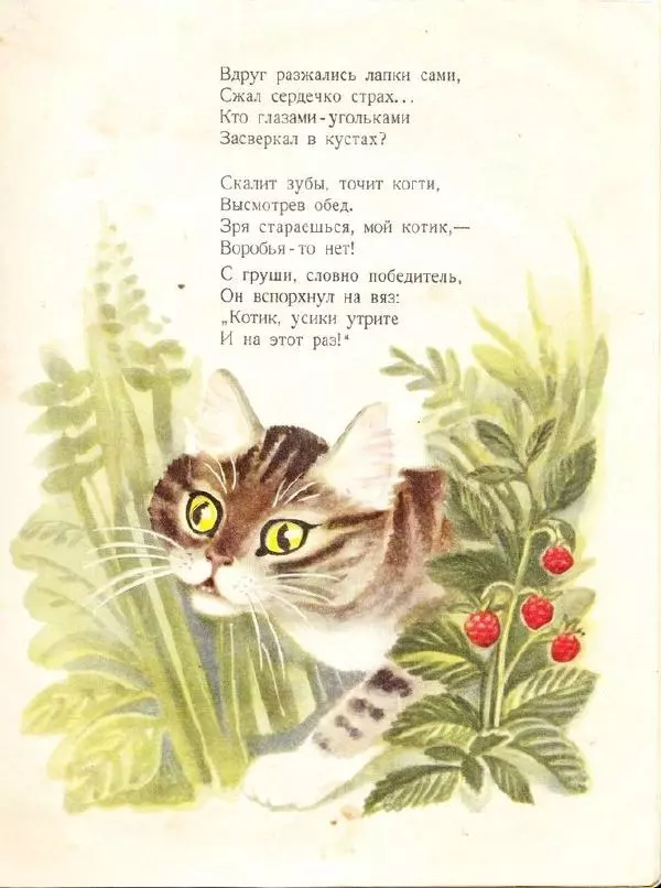 Карел Райс - Дорожка домой - Страница № 15