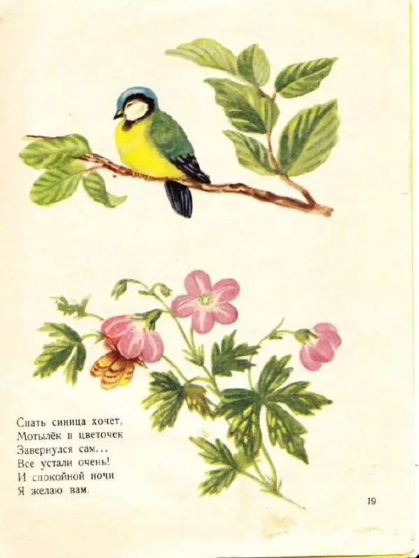 Карел Райс - Дорожка домой - Страница № 21