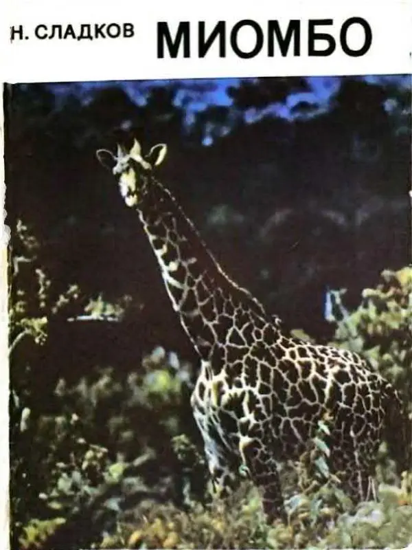 Николай Сладков - Миомбо - Страница № 1