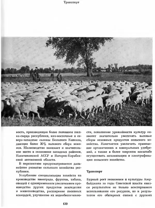  Коллектив авторов - Азербайджан - Страница № 147