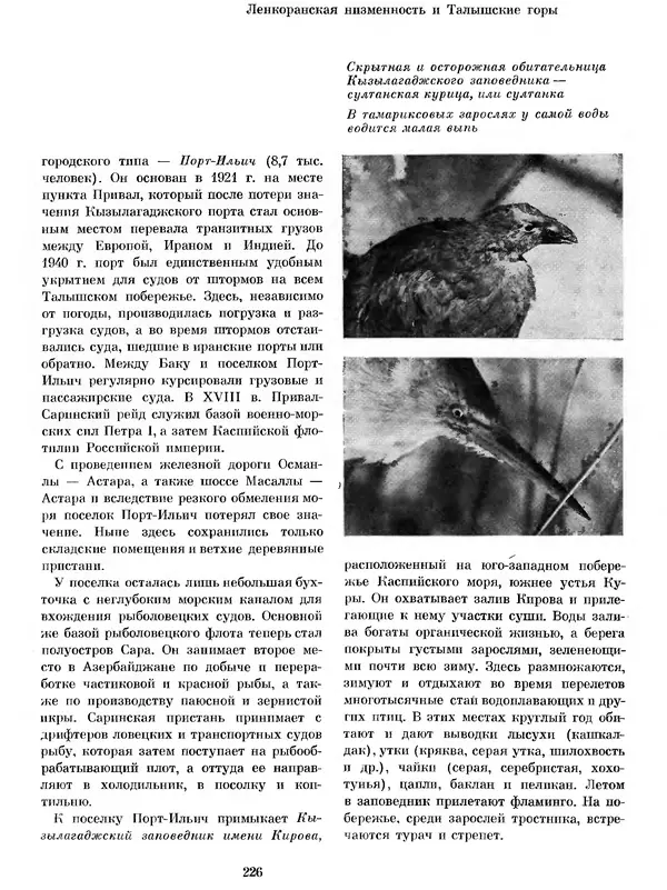  Коллектив авторов - Азербайджан - Страница № 237