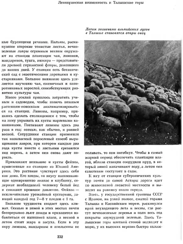  Коллектив авторов - Азербайджан - Страница № 243