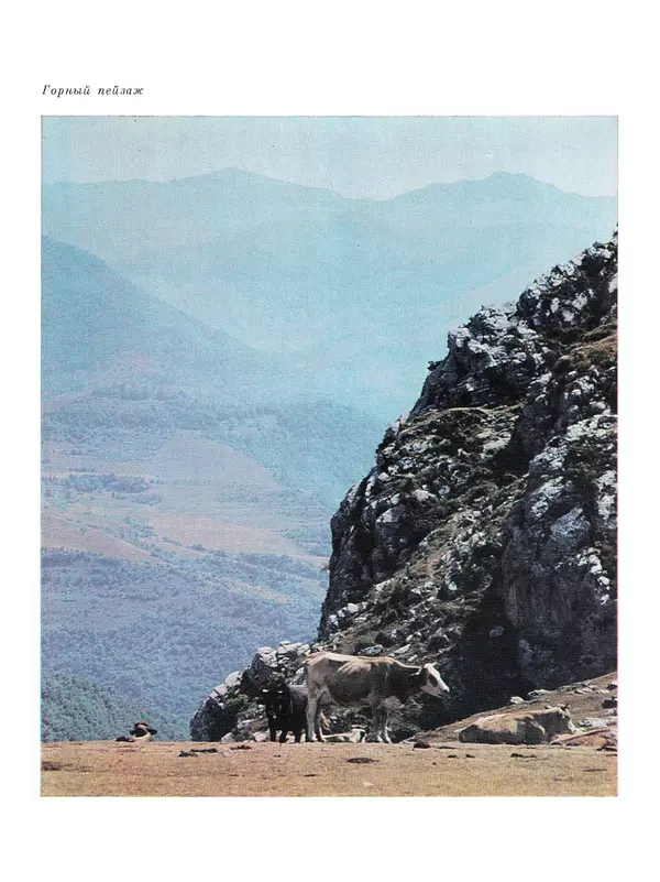  Коллектив авторов - Азербайджан - Страница № 36