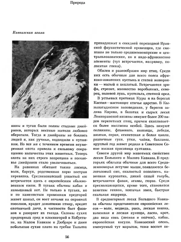  Коллектив авторов - Азербайджан - Страница № 60