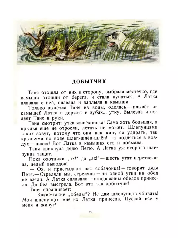 Виталий Бианки - Латка - Страница № 11