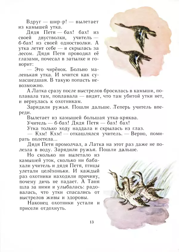 Виталий Бианки - Латка - Страница № 13