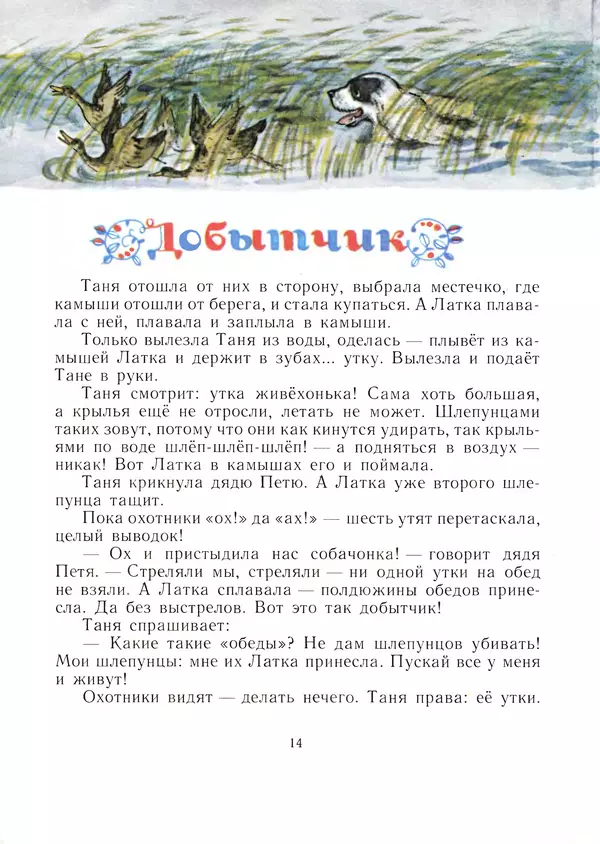 Виталий Бианки - Латка - Страница № 14