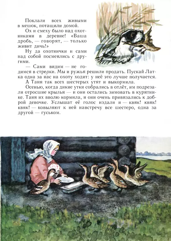 Виталий Бианки - Латка - Страница № 15