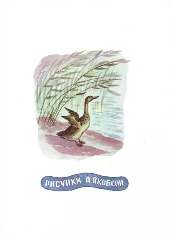 Виталий Бианки - Латка - Страница № 2