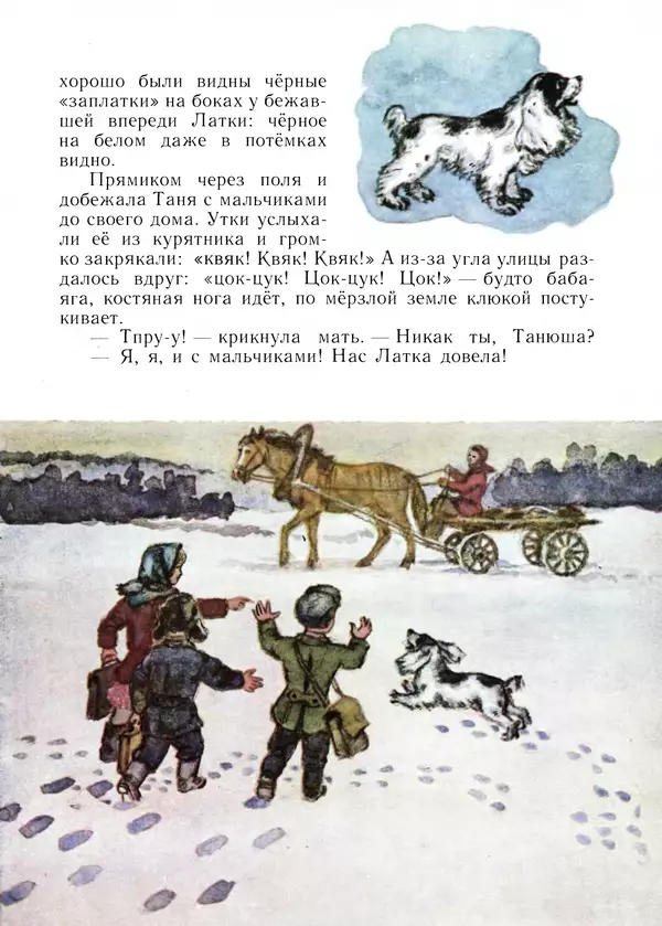 Виталий Бианки - Латка - Страница № 21