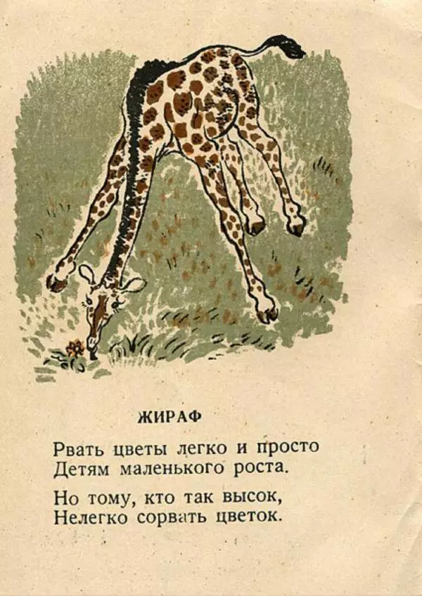 Евгений Чарушин - Мой зоосад - Страница № 2