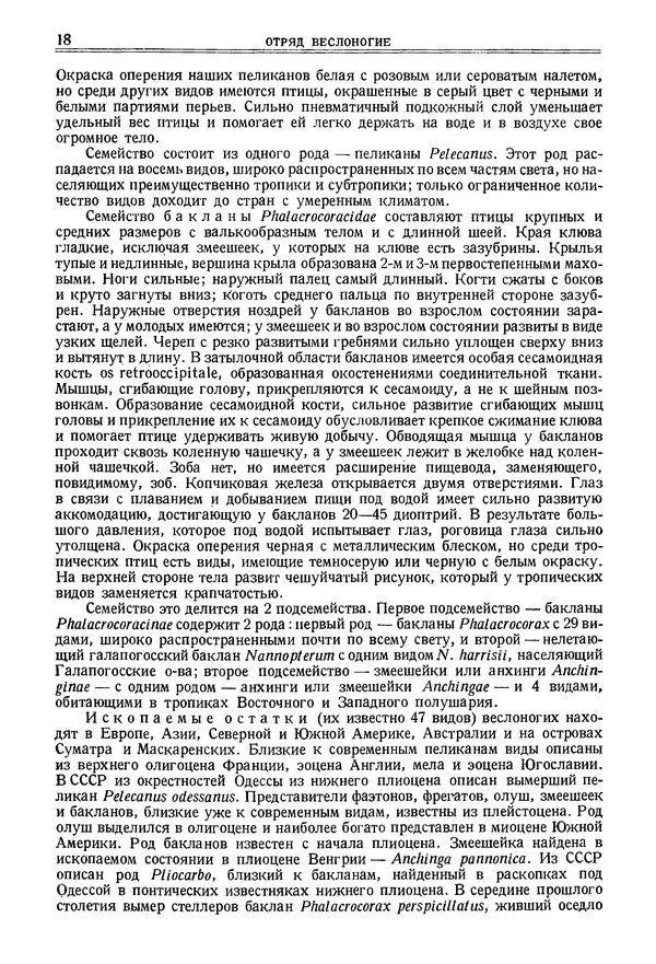  Коллектив авторов - Птицы Советского Союза. Том 1 - Страница № 19