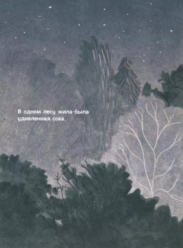 Мажена Сова - Удивленная сова - Страница № 9