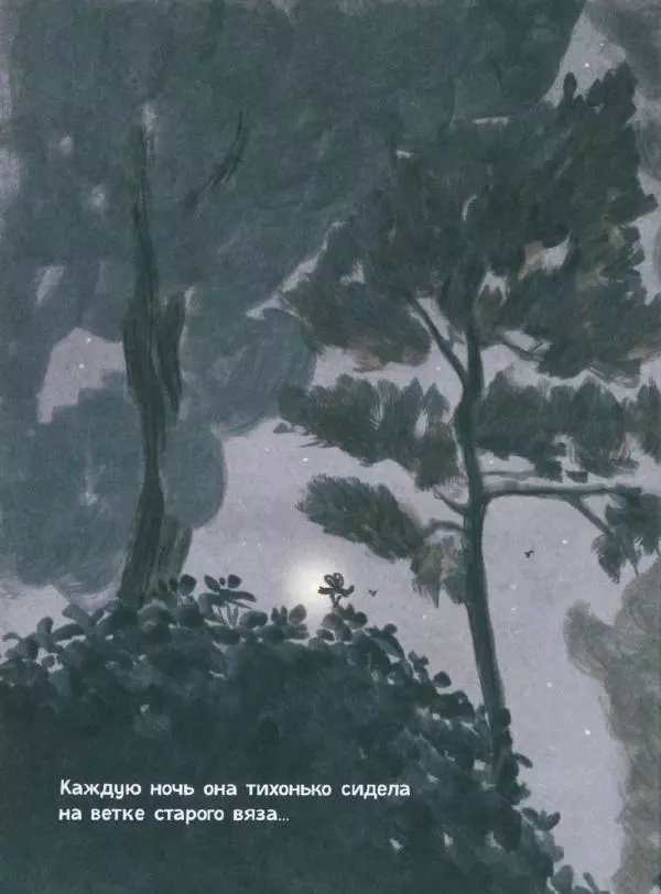 Мажена Сова - Удивленная сова - Страница № 11