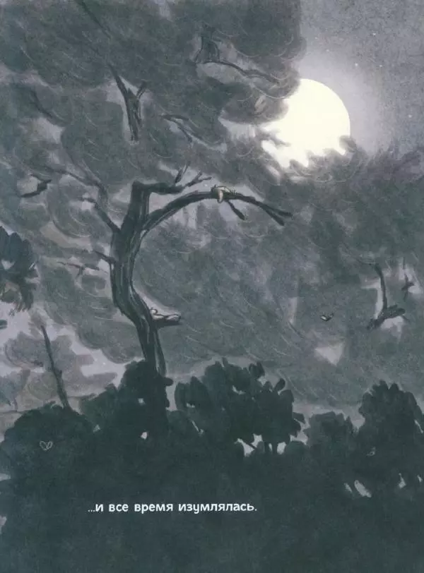 Мажена Сова - Удивленная сова - Страница № 12