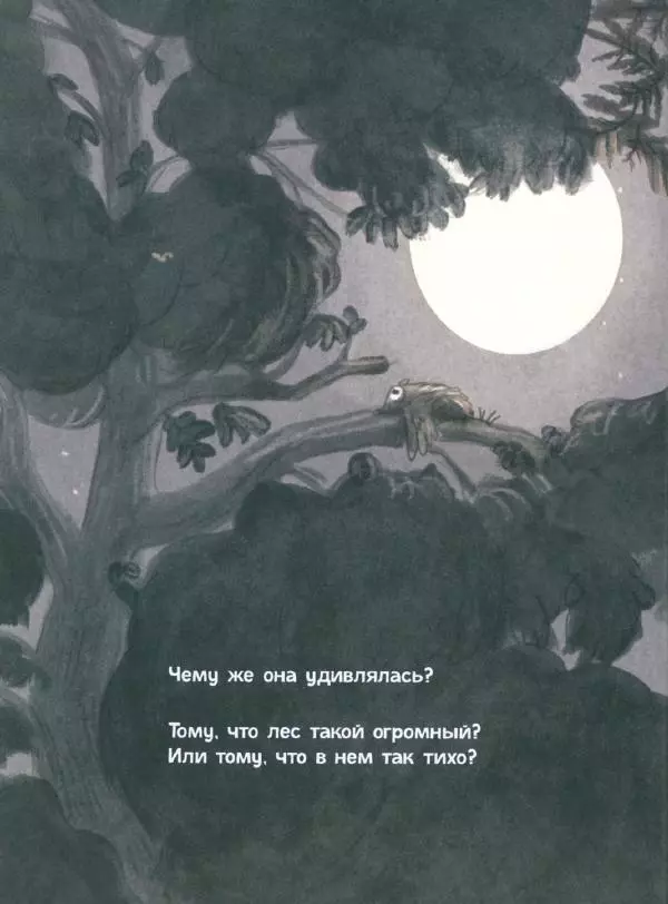 Мажена Сова - Удивленная сова - Страница № 13