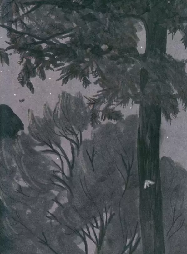 Мажена Сова - Удивленная сова - Страница № 14