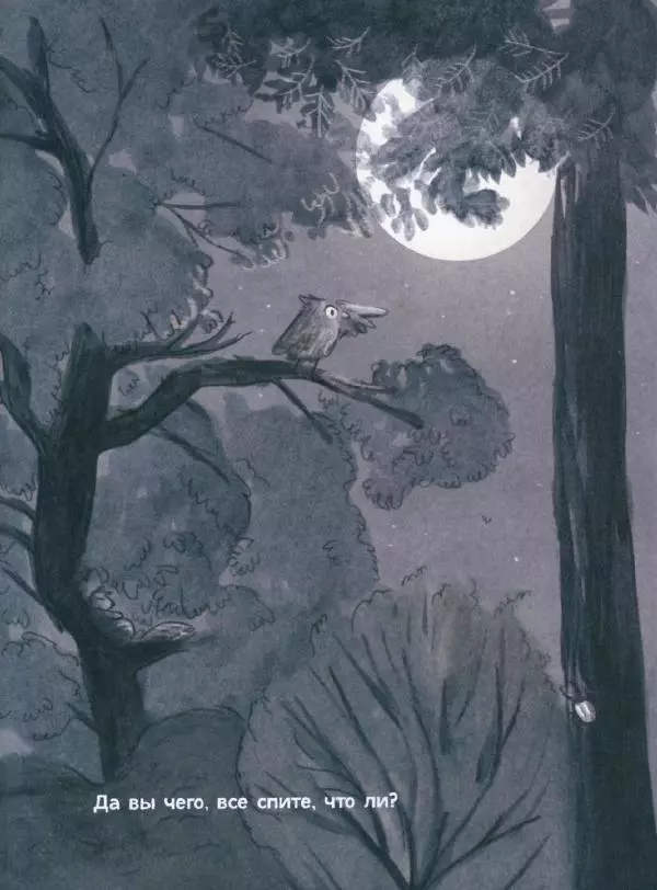 Мажена Сова - Удивленная сова - Страница № 16