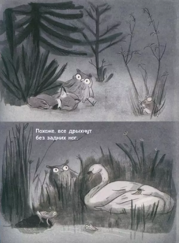 Мажена Сова - Удивленная сова - Страница № 18