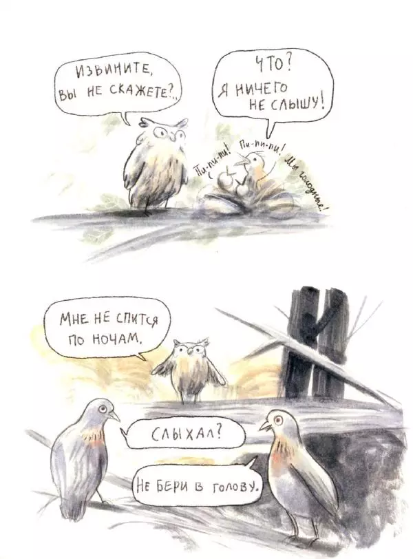 Мажена Сова - Удивленная сова - Страница № 26