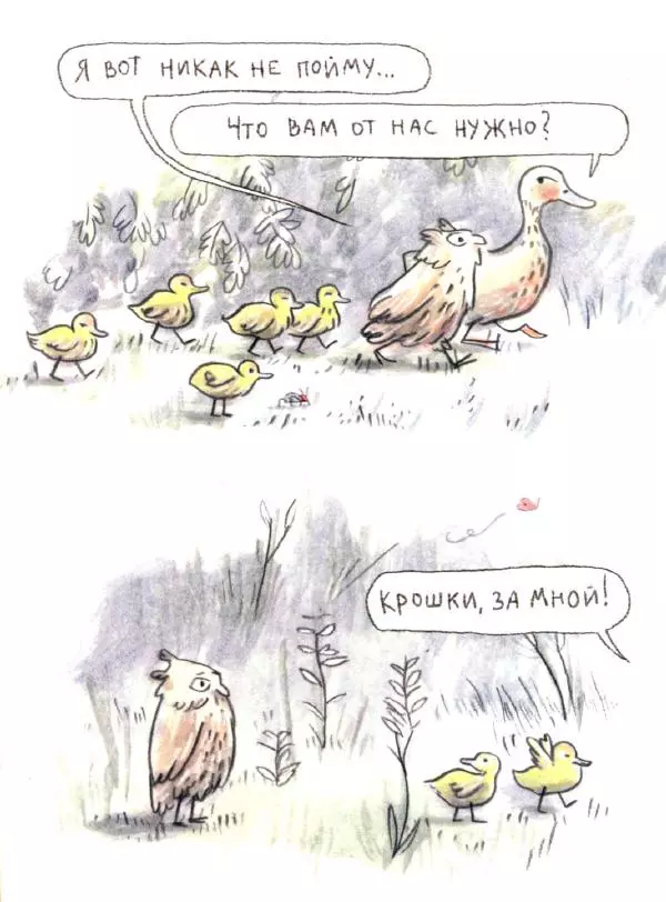 Мажена Сова - Удивленная сова - Страница № 28