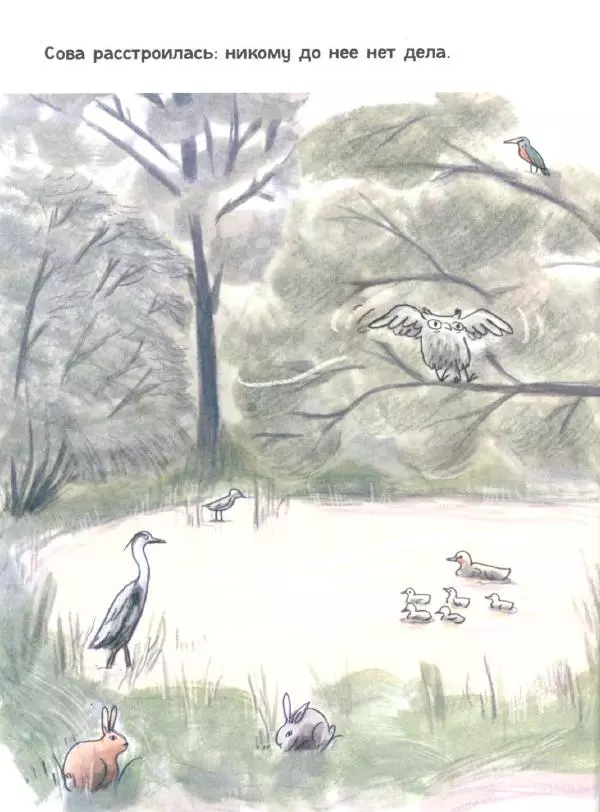 Мажена Сова - Удивленная сова - Страница № 31