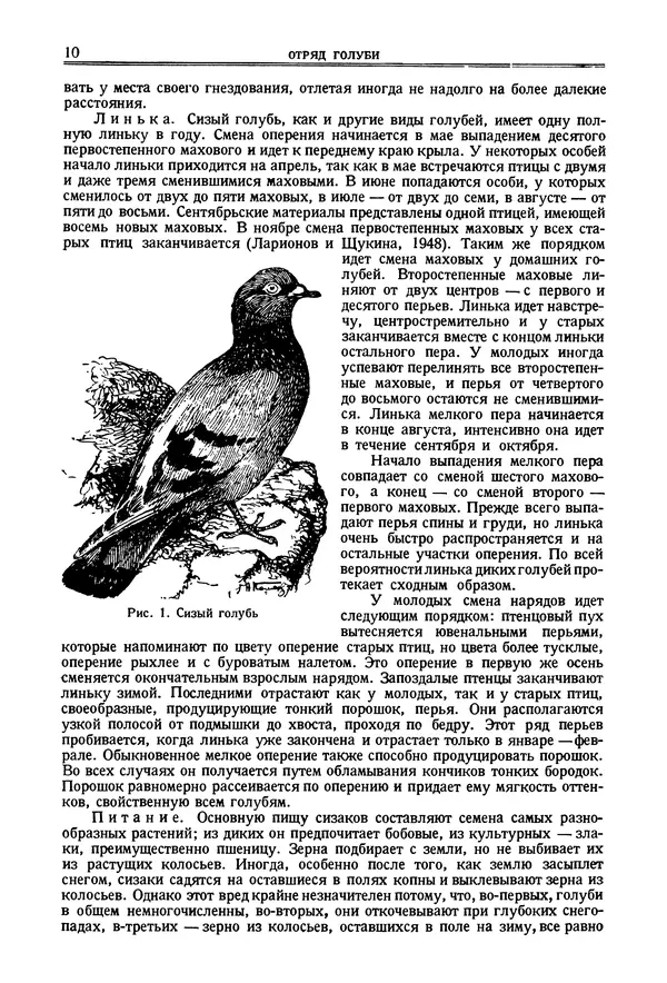 Коллектив авторов - Птицы Советского Союза. Том 2 - Страница № 10 Коллектив авторов - Птицы Советского Союза. Том 2 - Страница № 10