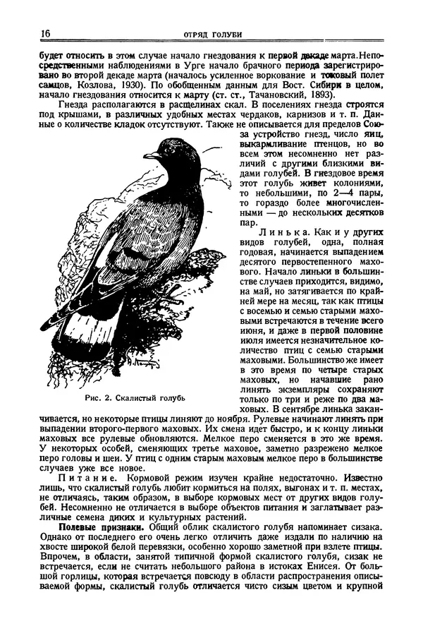 Коллектив авторов - Птицы Советского Союза. Том 2 - Страница № 16 Коллектив авторов - Птицы Советского Союза. Том 2 - Страница № 16