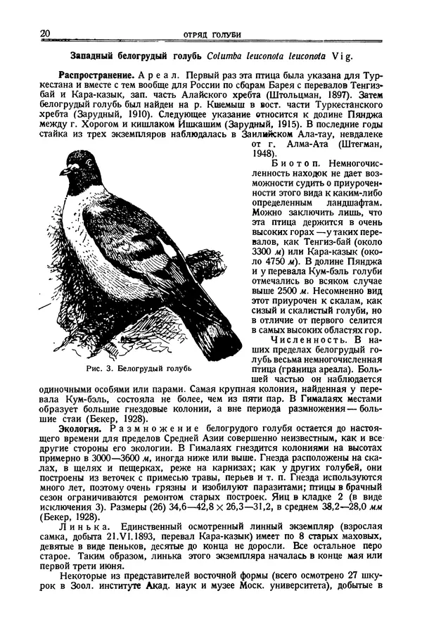 Коллектив авторов - Птицы Советского Союза. Том 2 - Страница № 20 Коллектив авторов - Птицы Советского Союза. Том 2 - Страница № 20