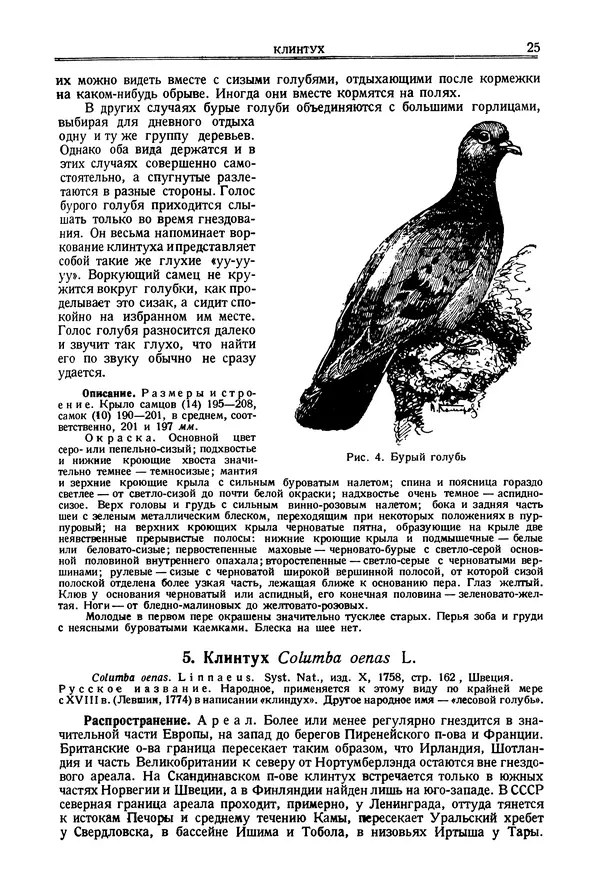 Коллектив авторов - Птицы Советского Союза. Том 2 - Страница № 25 Коллектив авторов - Птицы Советского Союза. Том 2 - Страница № 25