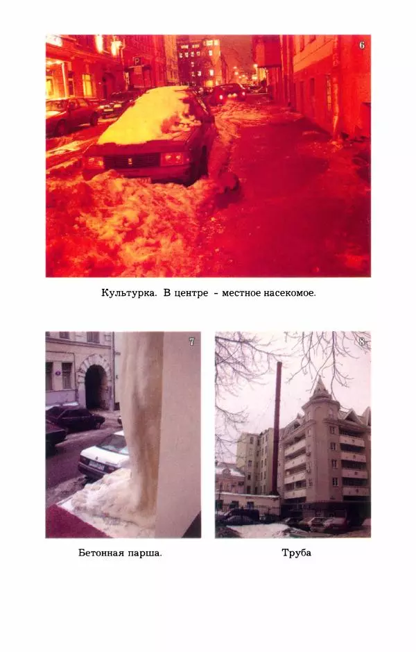 Дмитрий Галковский - Магнит - Страница № 212