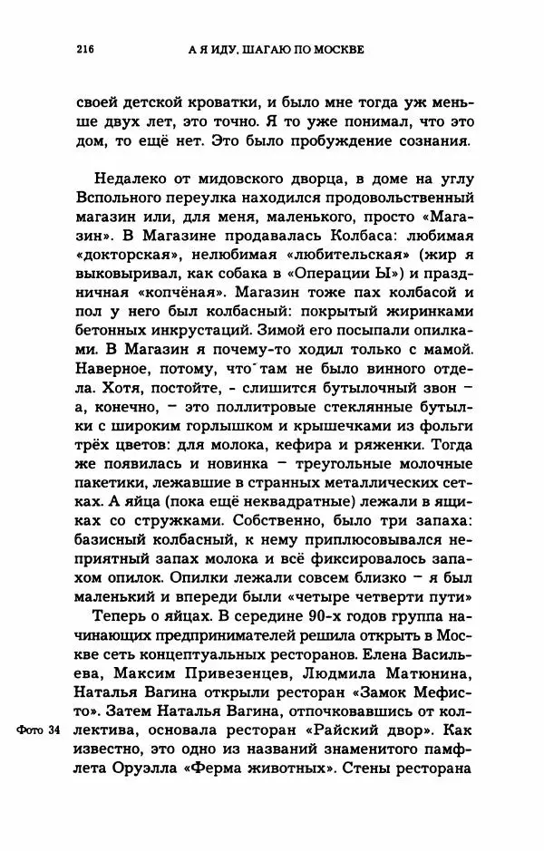 Дмитрий Галковский - Магнит - Страница № 231