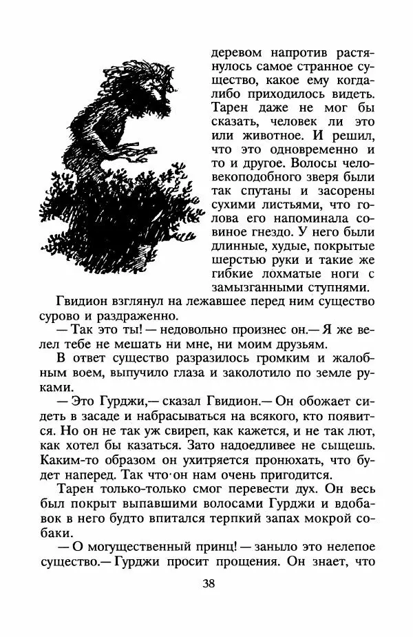 Ллойд Александер - Книга Трех - Страница № 42