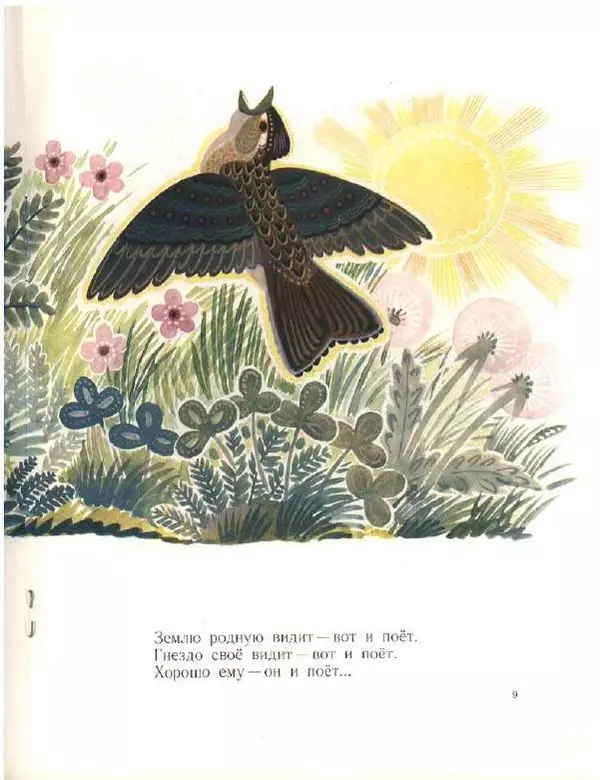 Николай Сладков - Грачи прилетели - Страница № 11