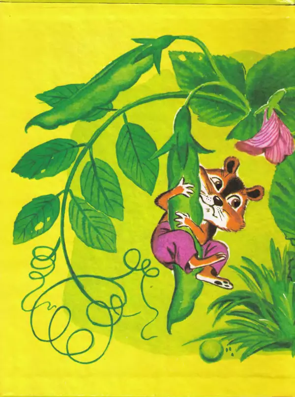 Альберт Иванов - Как Хома звезды спасал - Страница № 2