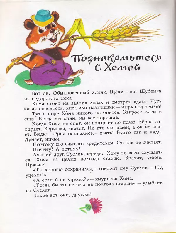 Альберт Иванов - Как Хома звезды спасал - Страница № 8