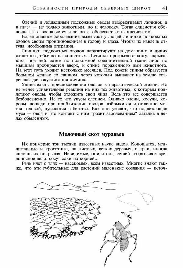 Игорь Акимушкин - Причуды природы - Страница № 42