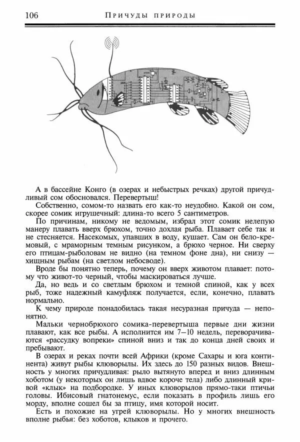 Игорь Акимушкин - Причуды природы - Страница № 107
