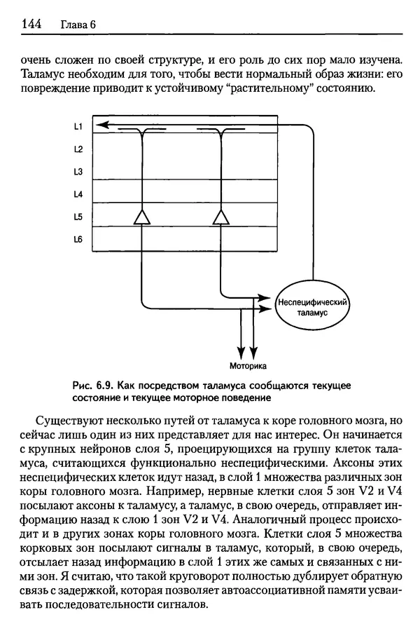 Сандра Блейксли - Об интеллекте - Страница № 145