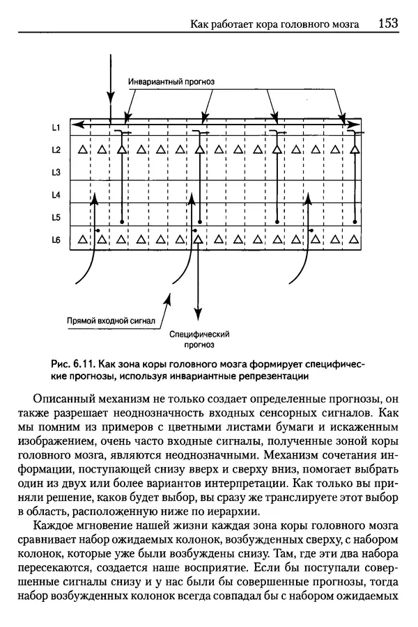 Сандра Блейксли - Об интеллекте - Страница № 154