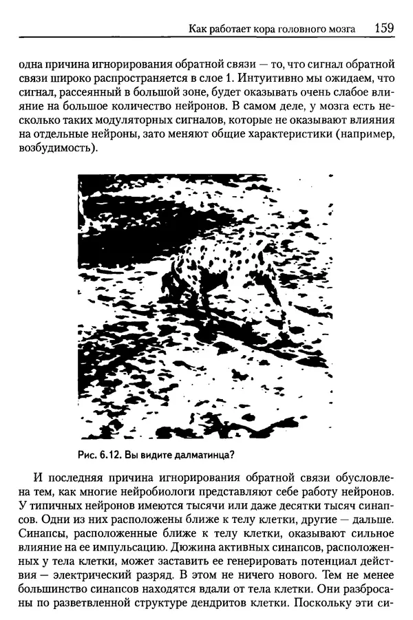 Сандра Блейксли - Об интеллекте - Страница № 160