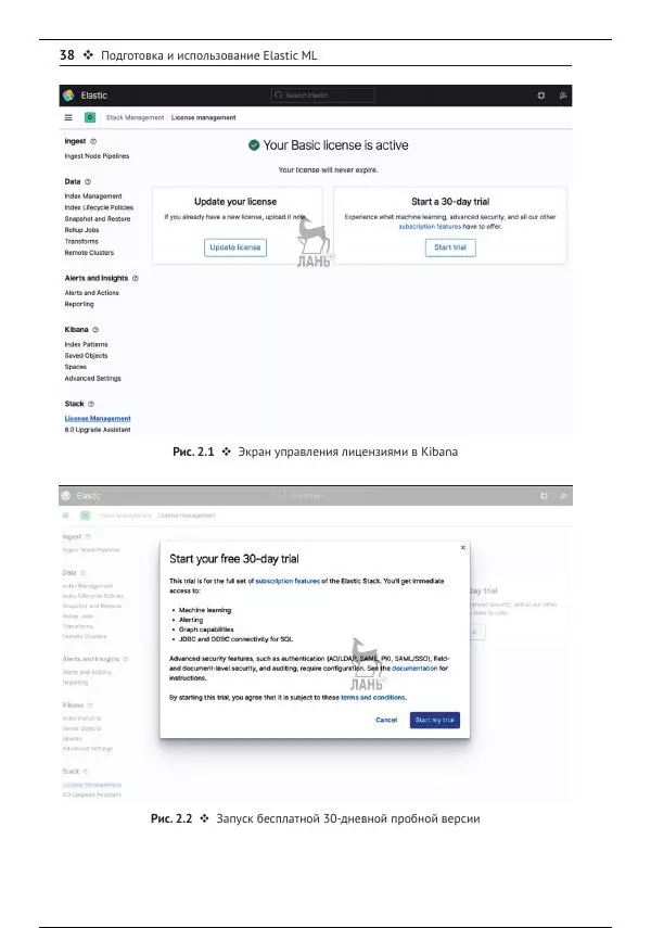 Рич Кольер - Машинное обучение в Elastic Stack - Страница № 39